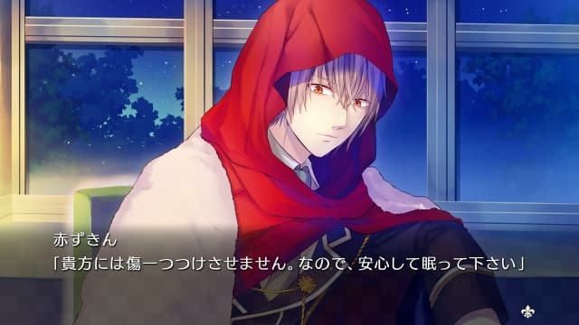 大正×对称爱丽丝all in one-v1.0.2-1dlc-60帧-无中文 image 3