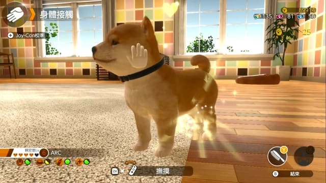 小小伙伴：猫猫狗狗-v1.0.1-中文30帧-sudachi可运行 image 5
