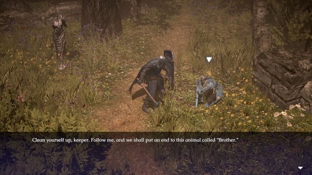 憎恨之心：亡者归来ANIMUS Revenant-v1.0.5-中文60帧 image 5