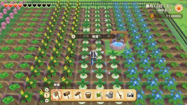 牧场物语：橄榄镇与希望的大地-v1.1.0-60帧 image 2
