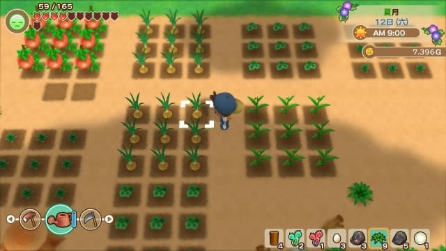 牧场物语：重聚矿石镇-中文60帧 image 5