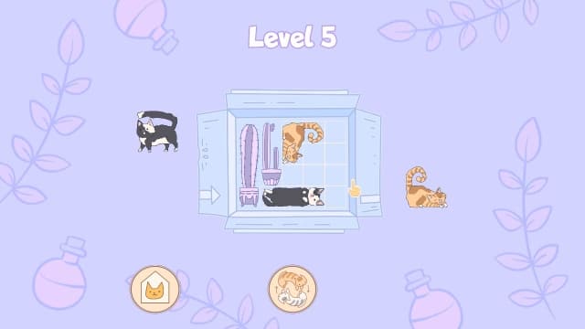 盒中猫Cats in Boxes-v1.0-中文60帧 image 2