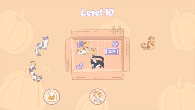 盒中猫Cats in Boxes-v1.0-中文60帧 image 3