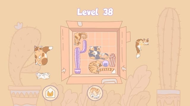 盒中猫Cats in Boxes-v1.0-中文60帧 image 4
