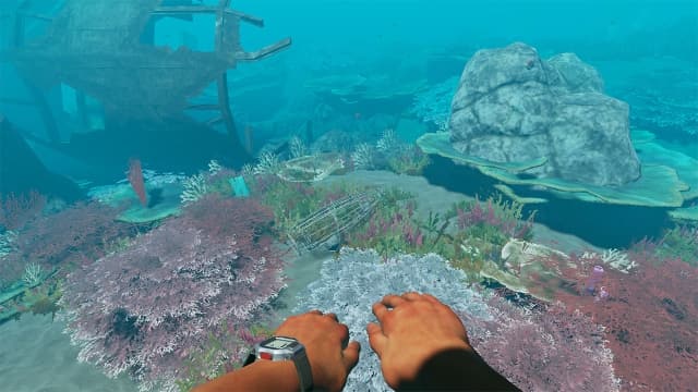荒岛求生Stranded Deep-v1.03-60帧-附汉化补丁 image 5