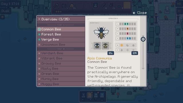 蜂语镇-v4.3.0b-30帧 image 7