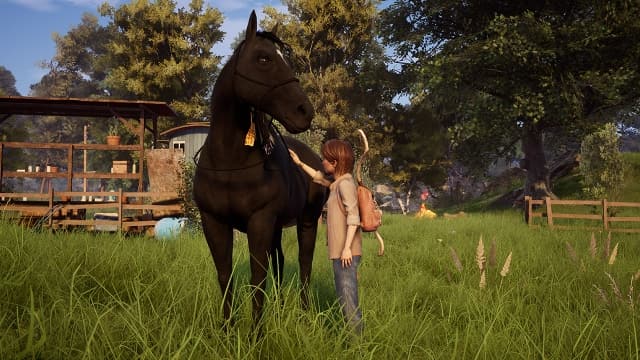 风暴：勇敢的骑手Windstorm - An unexpected arrival-v1.5.0-中文60帧 image 2