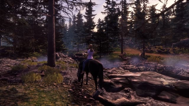 风暴：深厚友谊的开始-v1.9.0-中文60帧 image 4